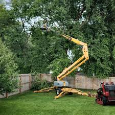 Best Commercial Tree Services  in Murphys, CA