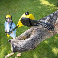 Best Sod Installation  in Murphys, CA